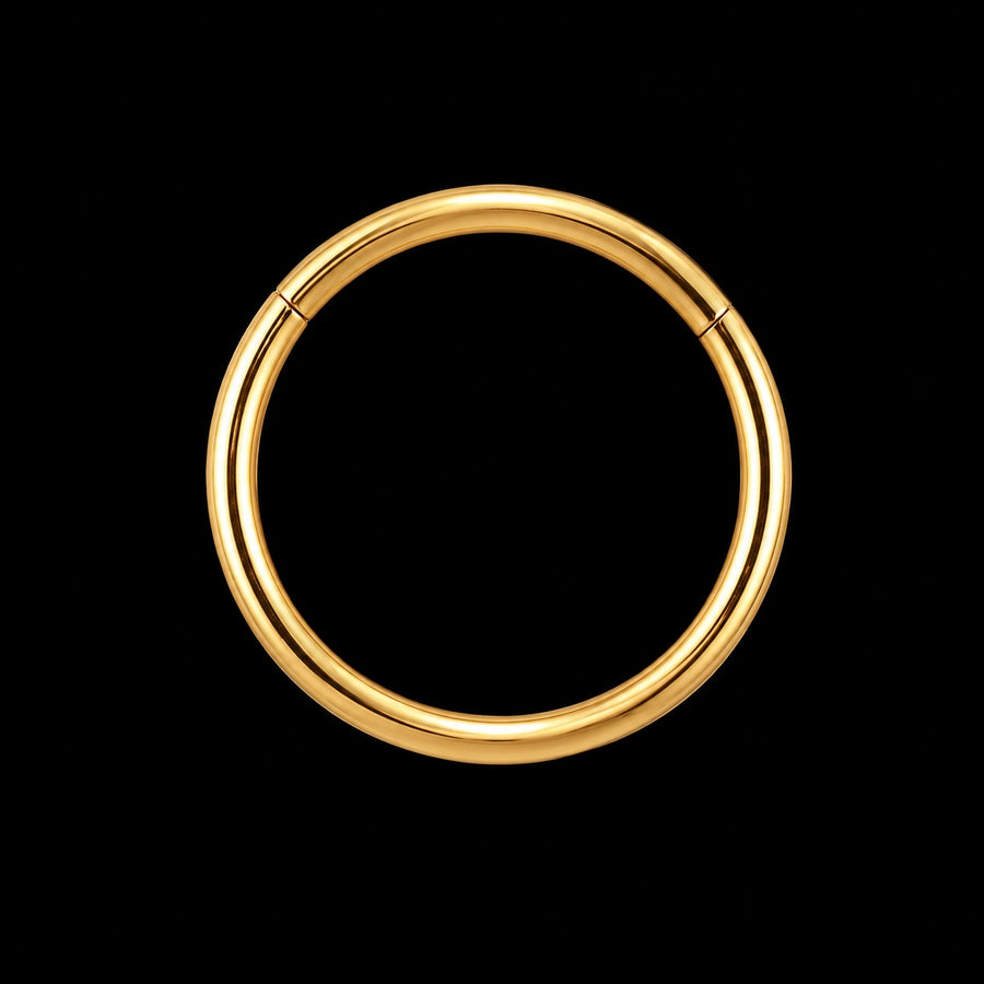 Titanium Clicker Ring F6 (segment)