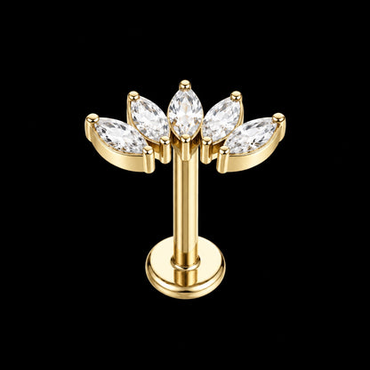 Zirkonia Labret – Marquise Waaier · 16G · 1,2 × 8 mm – Goud – 16G · 1,2 × 8 mm