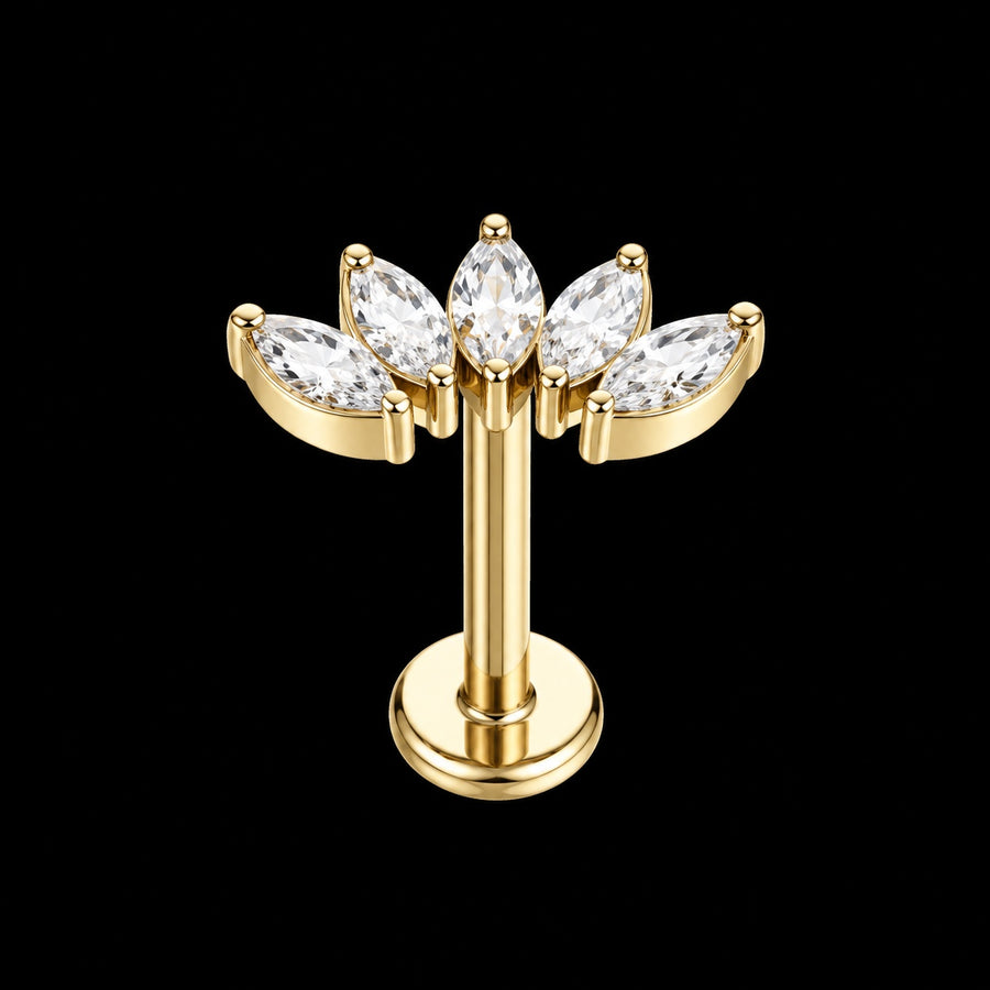 Zirkonia Labret – Marquise Waaier · 16G · 1,2 × 8 mm