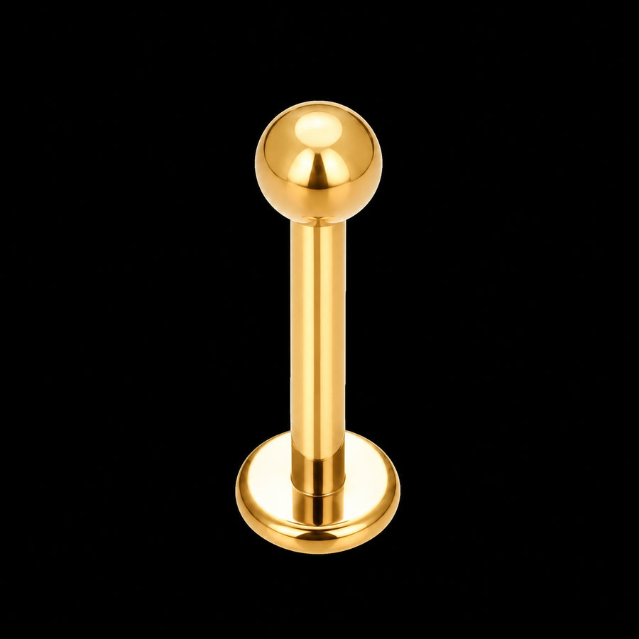 Ronde Schijf Labret