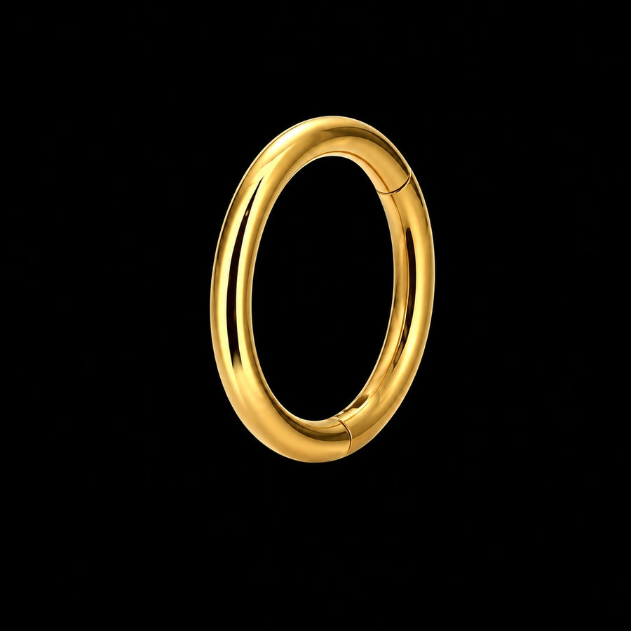 Titanium Clicker Ring F6 (segment)
